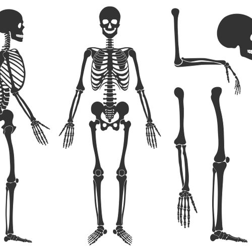 Tìm hiểu TẤT TẦN TẬT về bệnh xương khớp thường gặp
